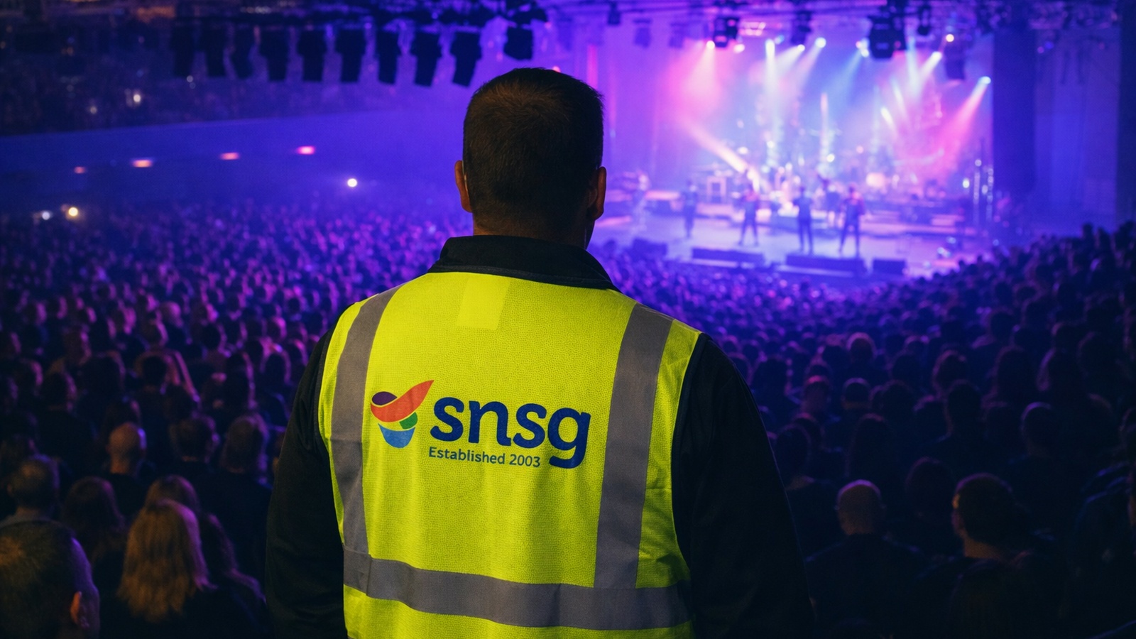 Arena & Concerts SNSG Security Company in Birmingham - Arenas & Concerts Security